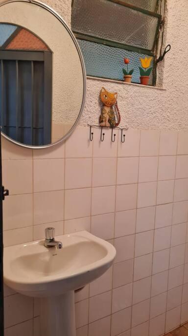 Curta a terra dos Dinos na casa verde