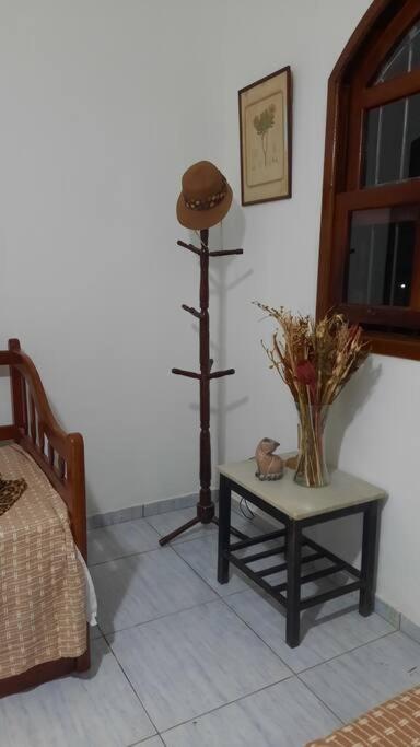 Curta a terra dos Dinos na casa verde