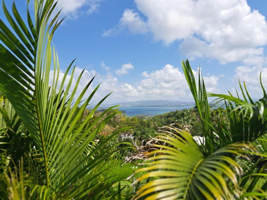Villa Vue Mer pour 8 personnes view 4