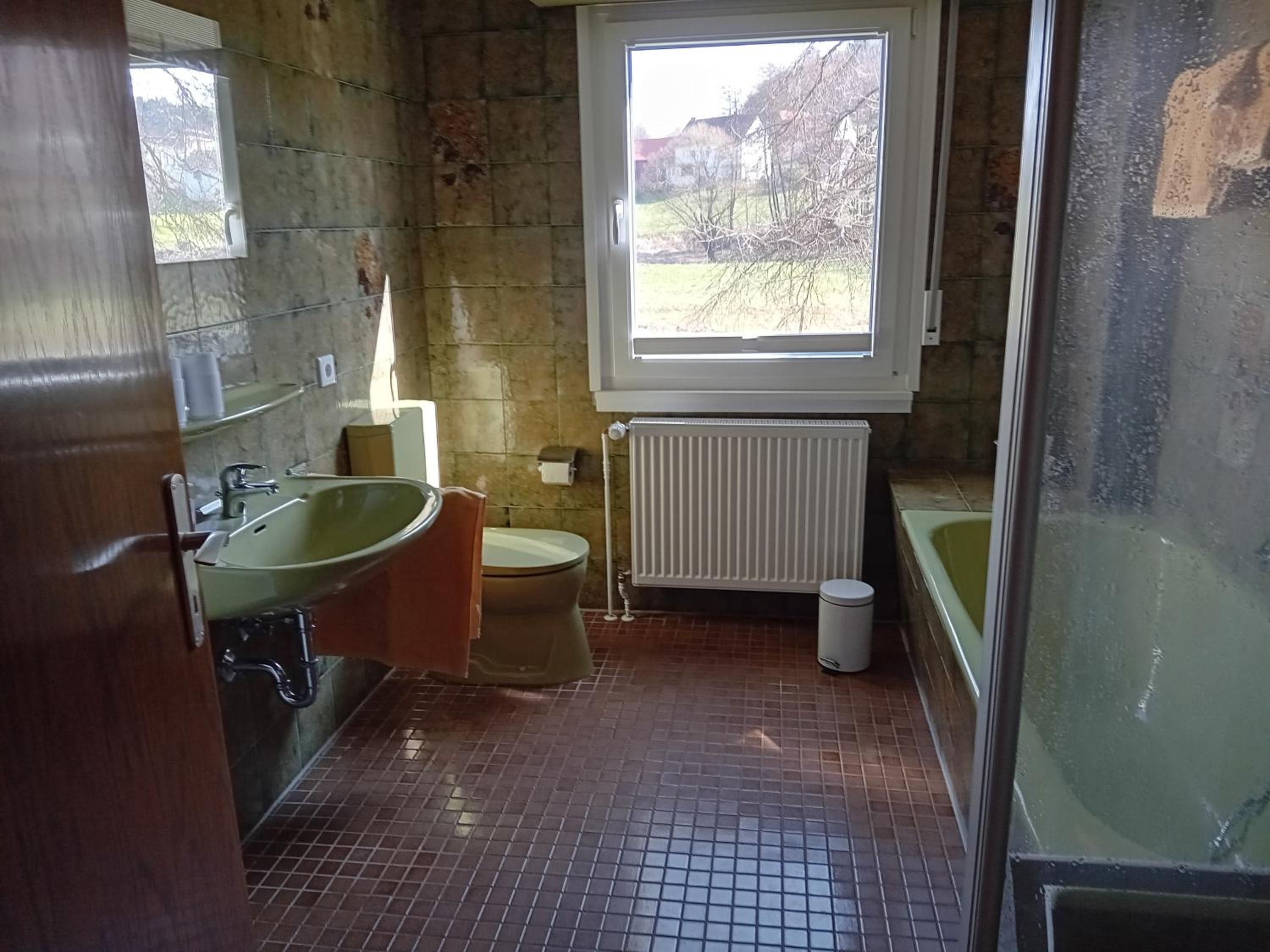 Grashüpfer bis 4 Pers en Freiensteinau — bathroom