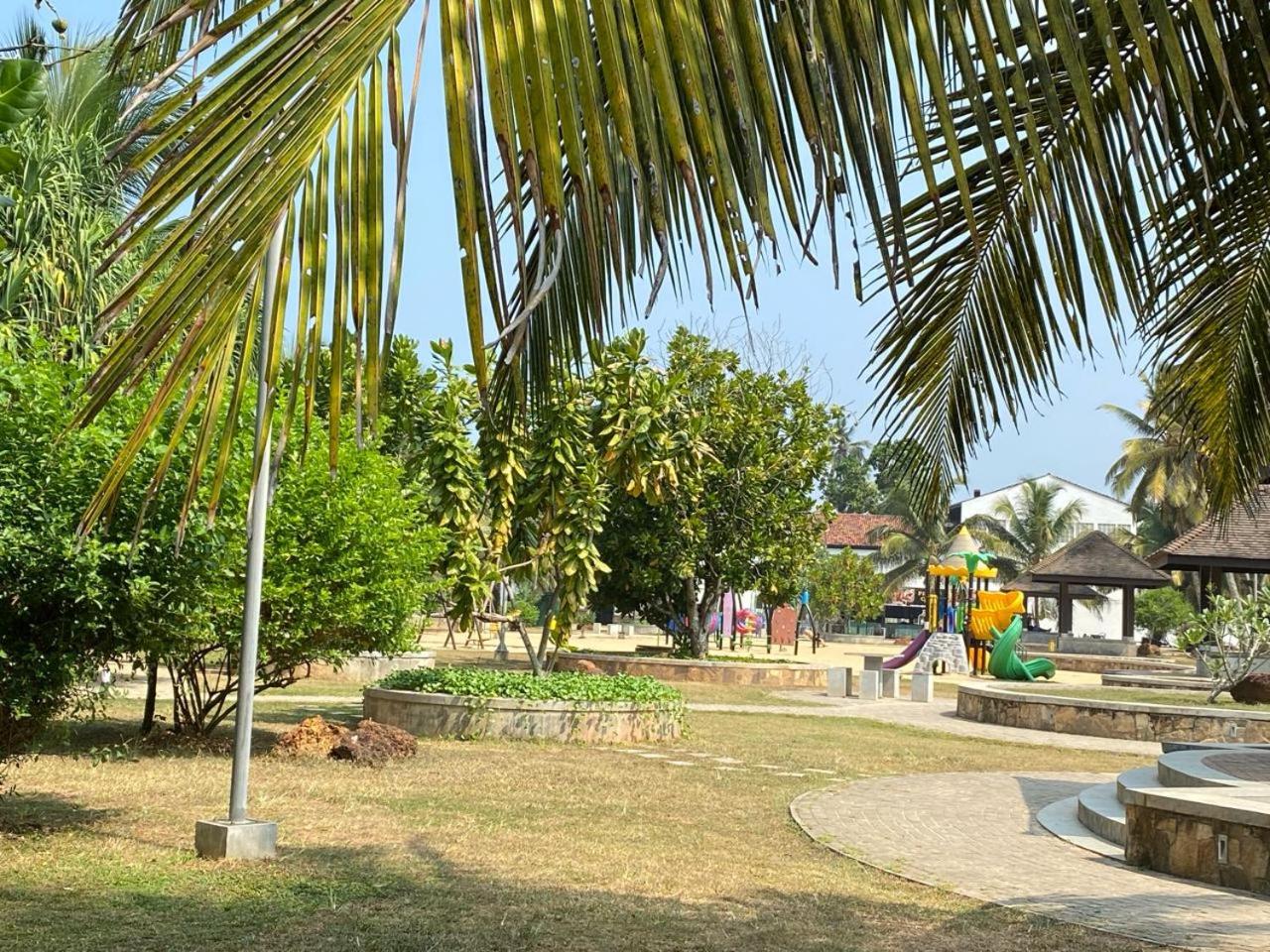 Photo 43