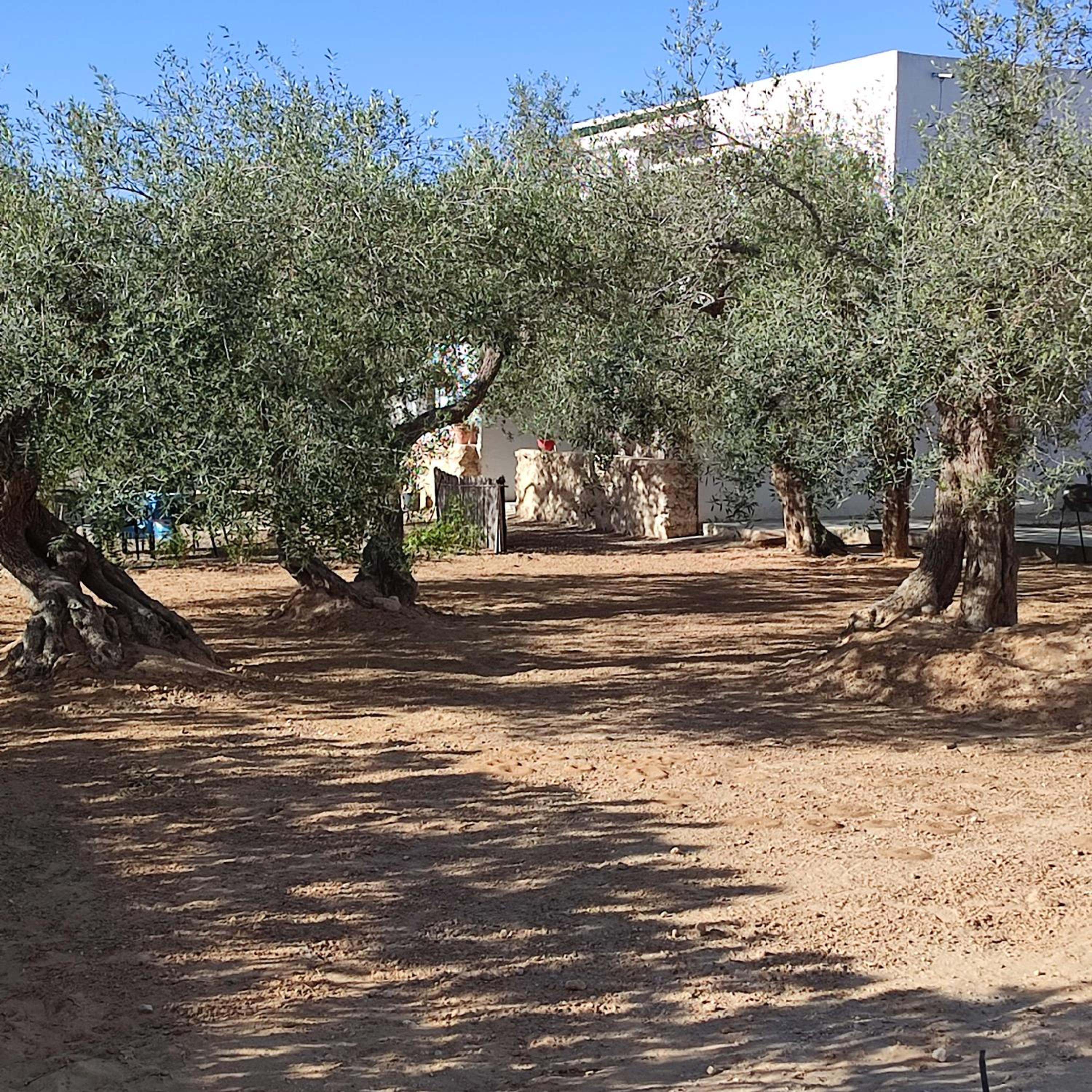 Photo 27