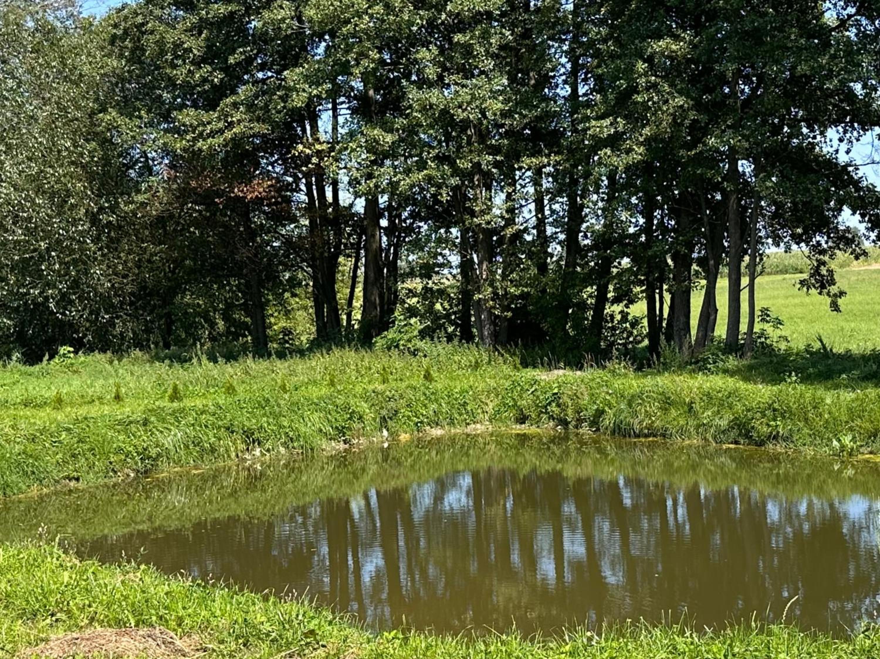 Agroturystyka u Pruszyńskich, photo 46