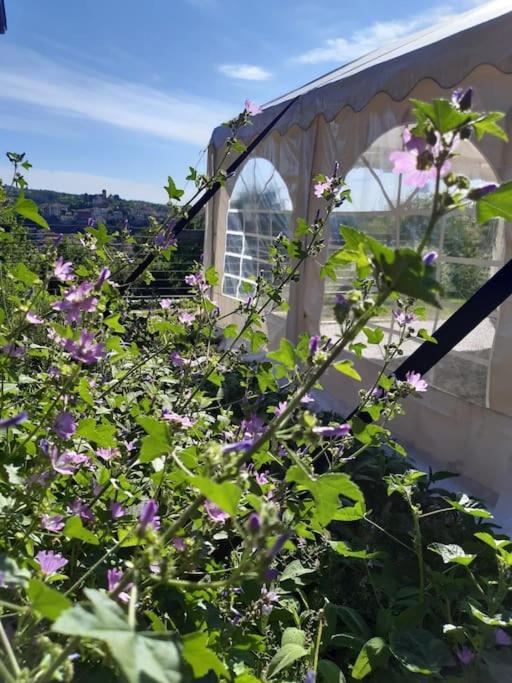 CONFINEDEISANTI Bed&Breakfast