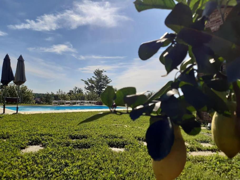 CONFINEDEISANTI Bed&Breakfast