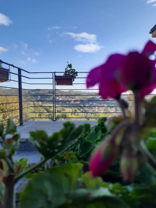 CONFINEDEISANTI Bed&Breakfast