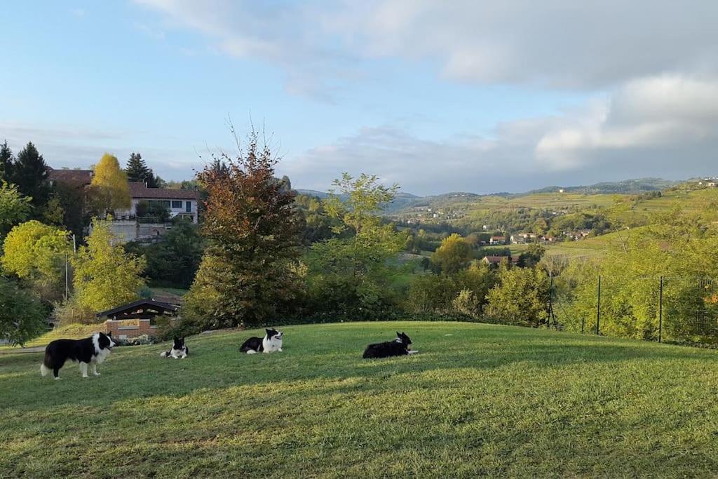 CONFINEDEISANTI Bed&Breakfast