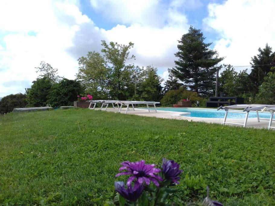 CONFINEDEISANTI Bed&Breakfast
