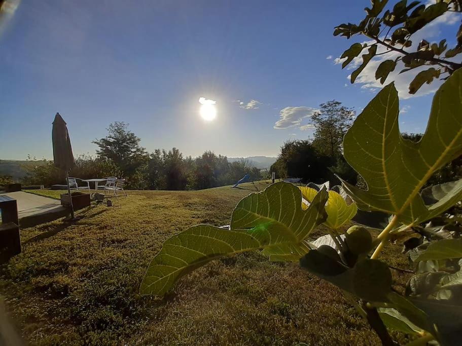 CONFINEDEISANTI Bed&Breakfast