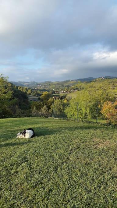CONFINEDEISANTI Bed&Breakfast