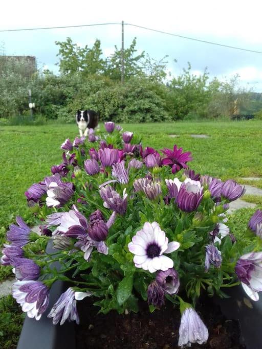 CONFINEDEISANTI Bed&Breakfast