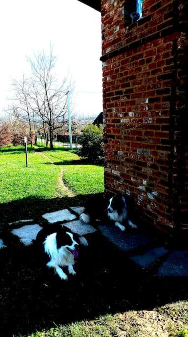 CONFINEDEISANTI Bed&Breakfast
