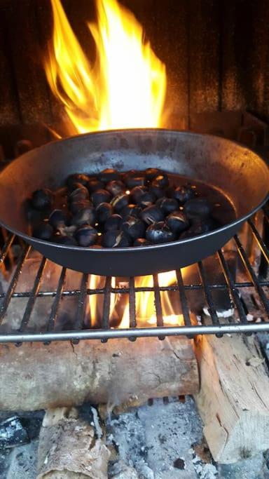 CONFINEDEISANTI Bed&Breakfast