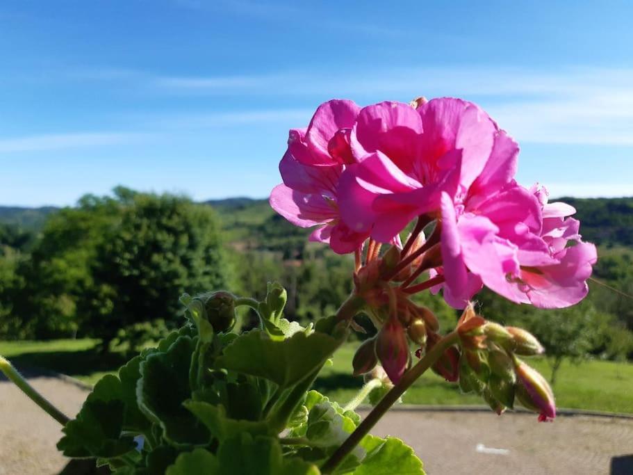 CONFINEDEISANTI Bed&Breakfast
