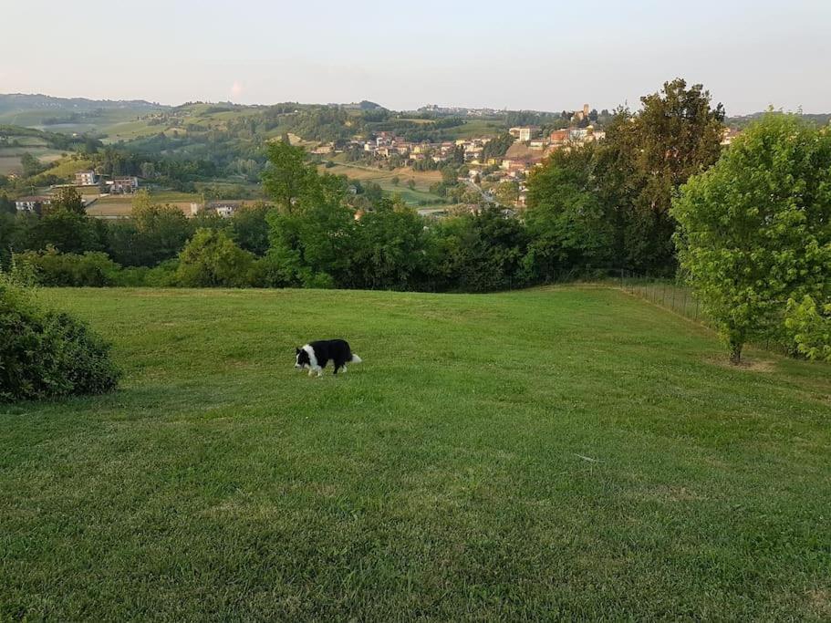 CONFINEDEISANTI Bed&Breakfast