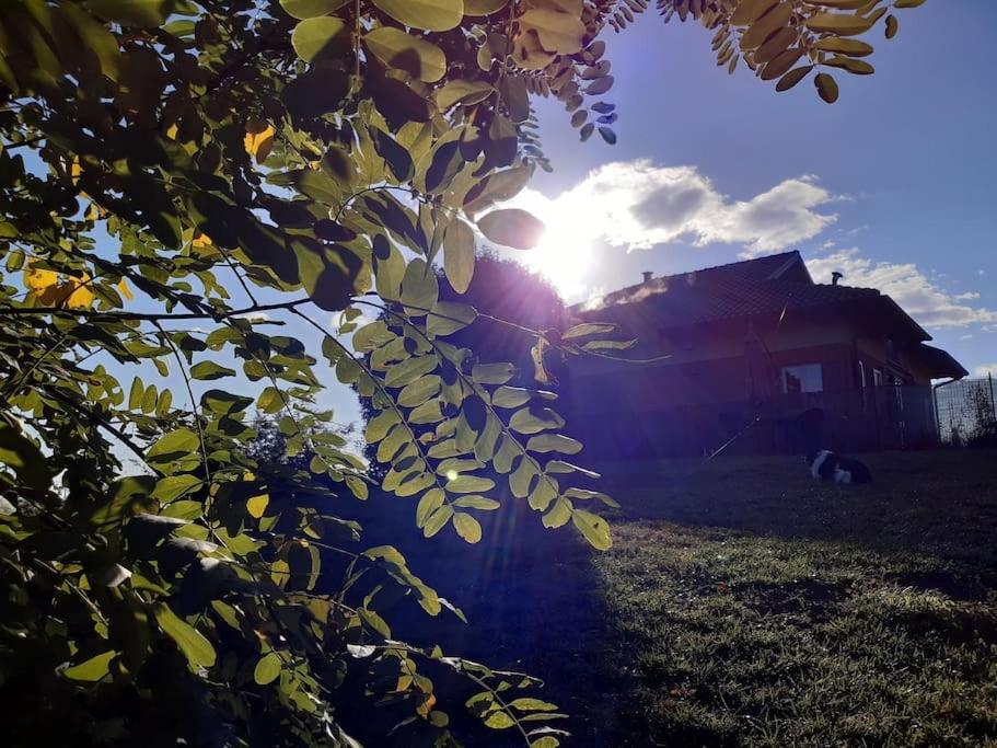 CONFINEDEISANTI Bed&Breakfast