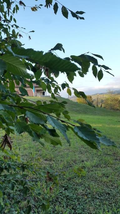 CONFINEDEISANTI Bed&Breakfast