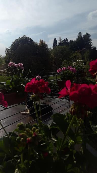 CONFINEDEISANTI Bed&Breakfast