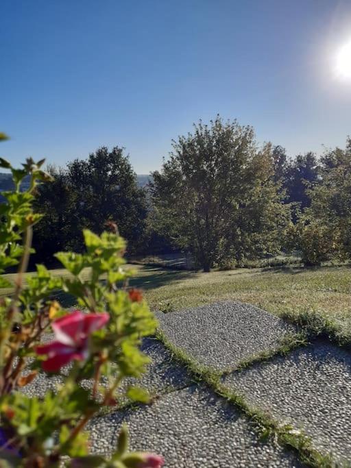 CONFINEDEISANTI Bed&Breakfast