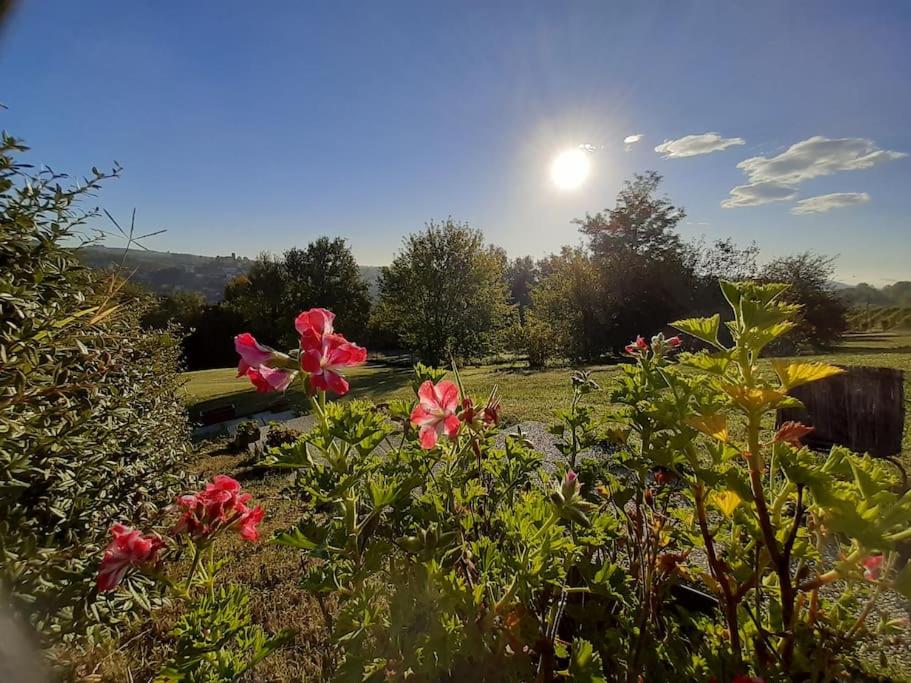 CONFINEDEISANTI Bed&Breakfast