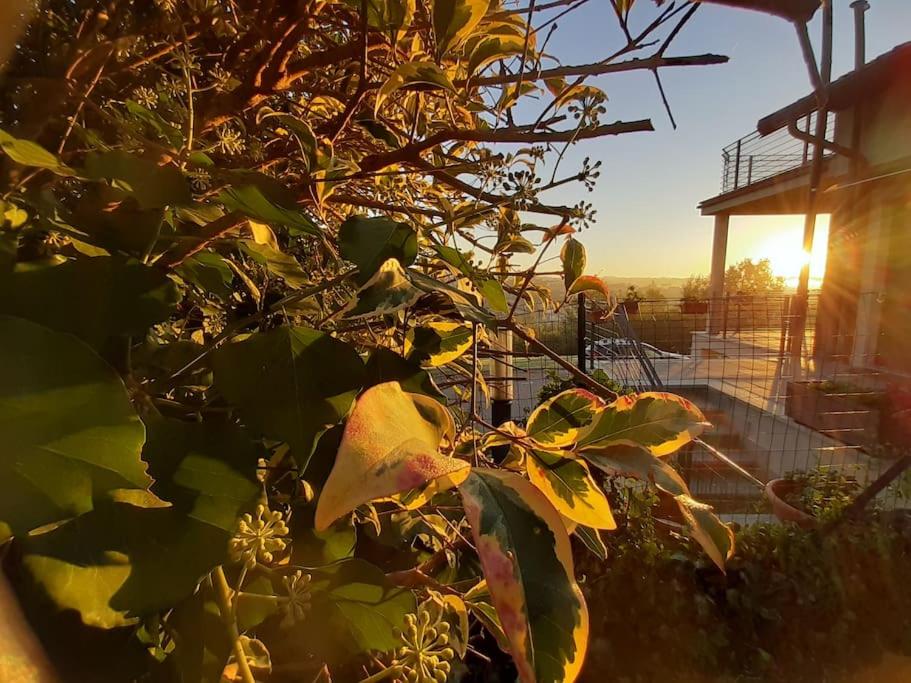 CONFINEDEISANTI Bed&Breakfast