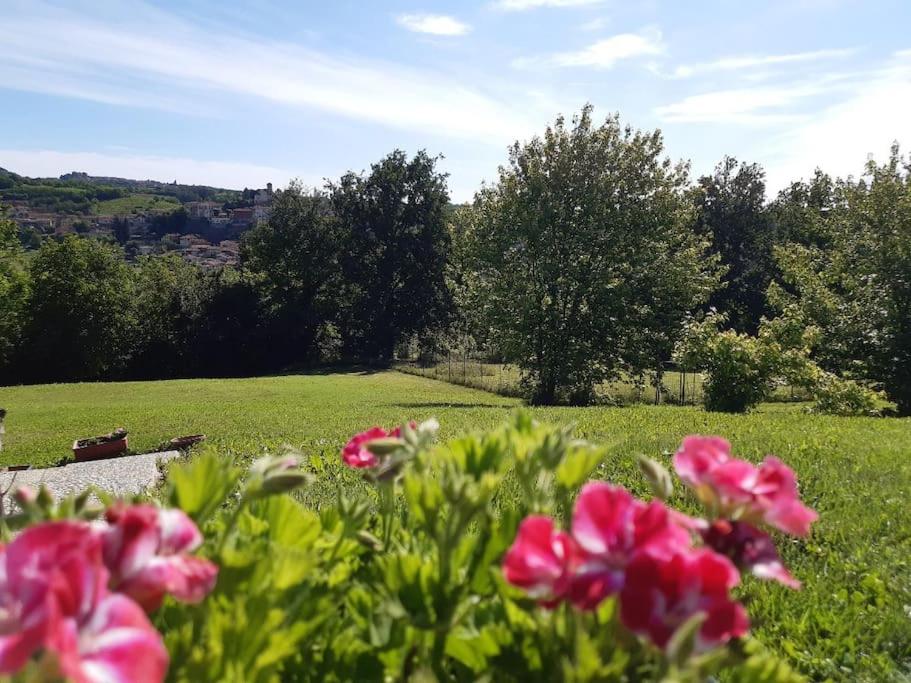 CONFINEDEISANTI Bed&Breakfast