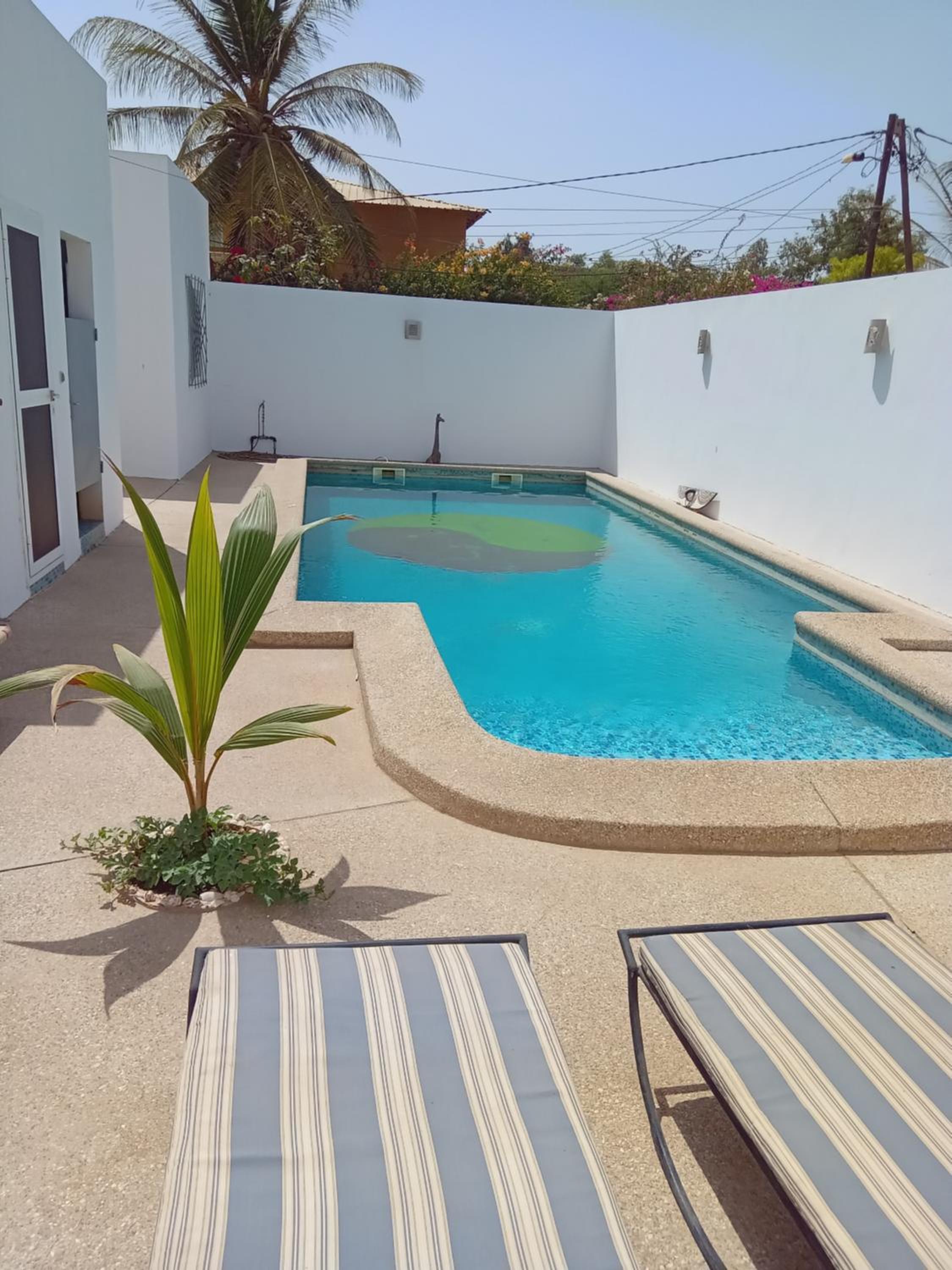 Cocotiers Nianing view 2