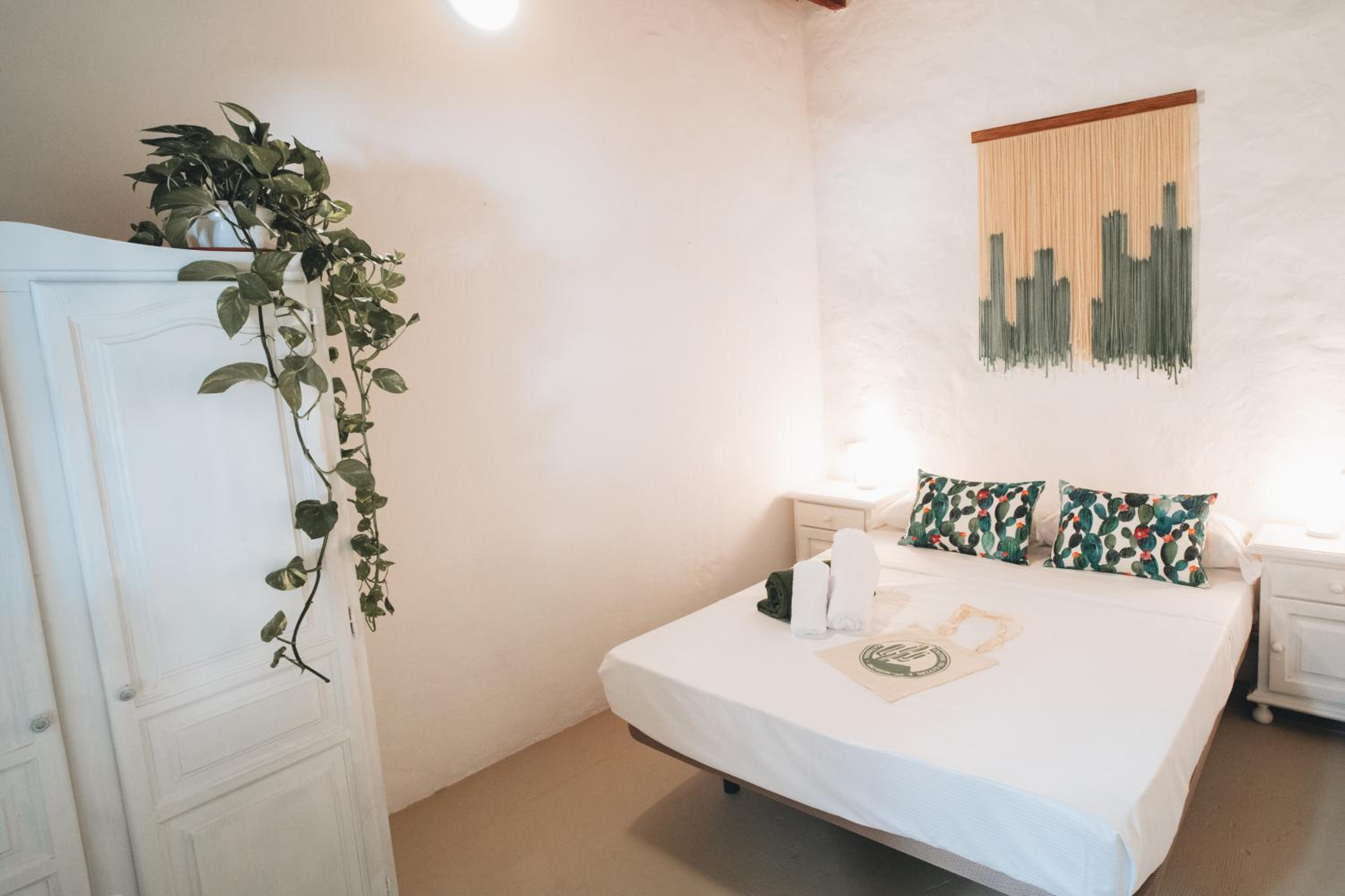 Cactus Coliving view 2