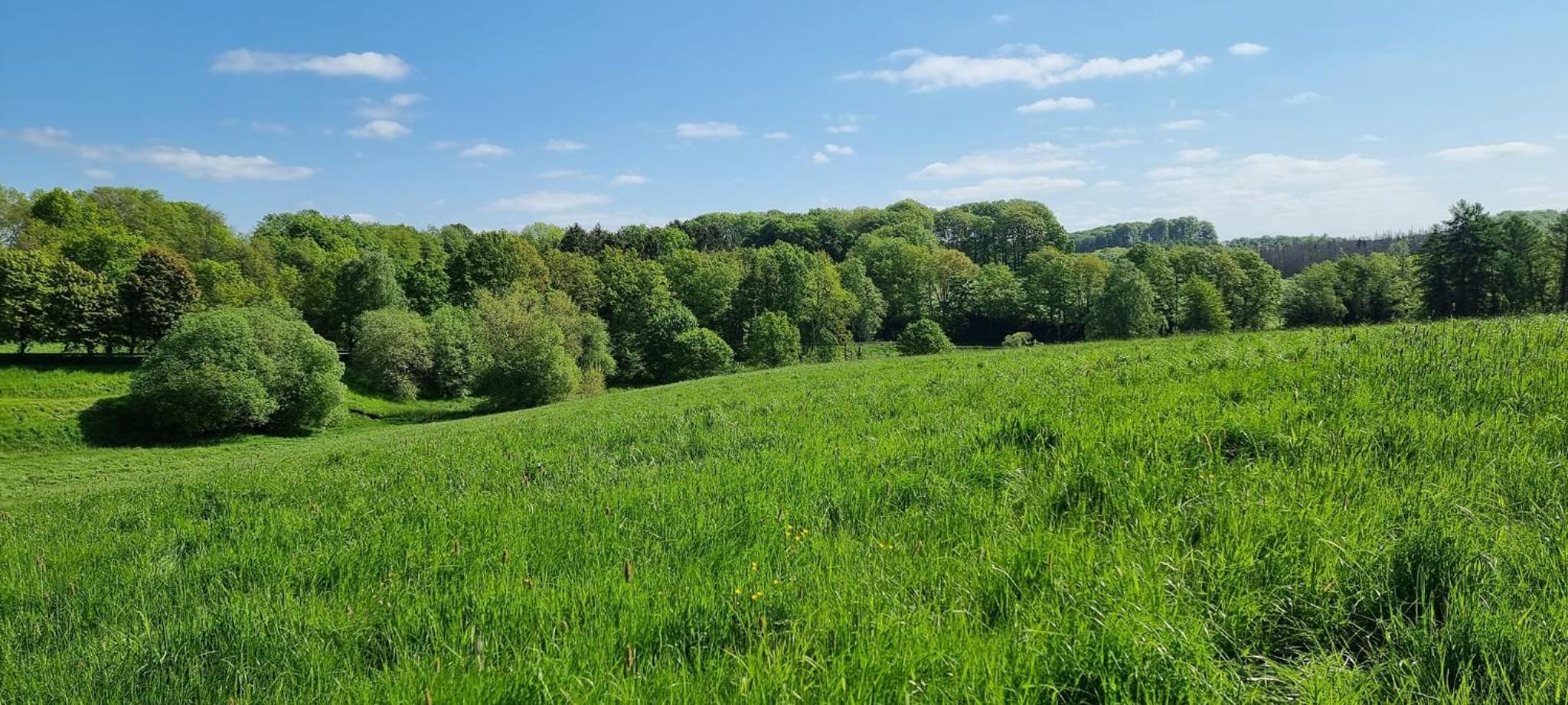 Privatpension Waldbröl