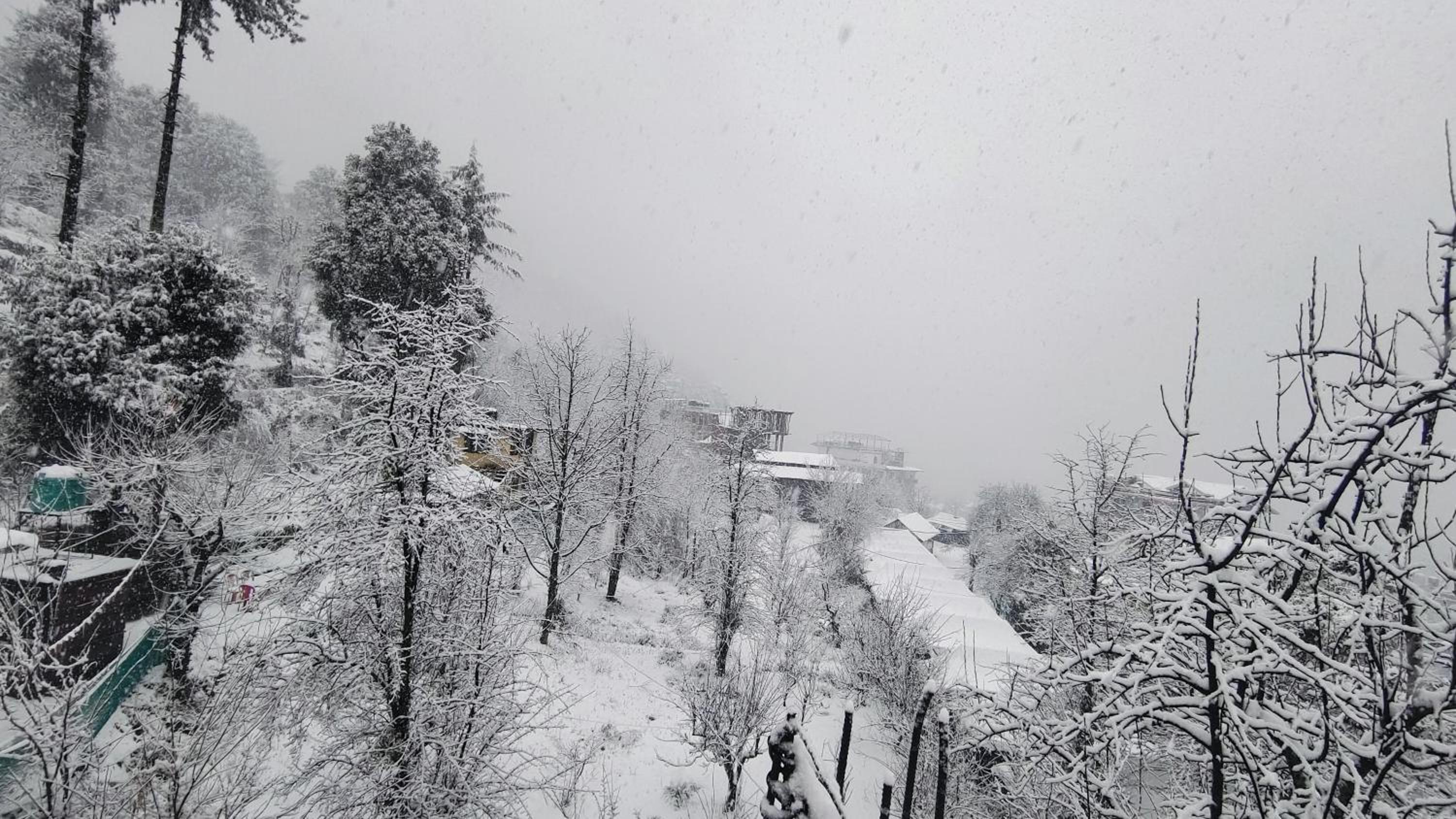 त्रिnity homestay