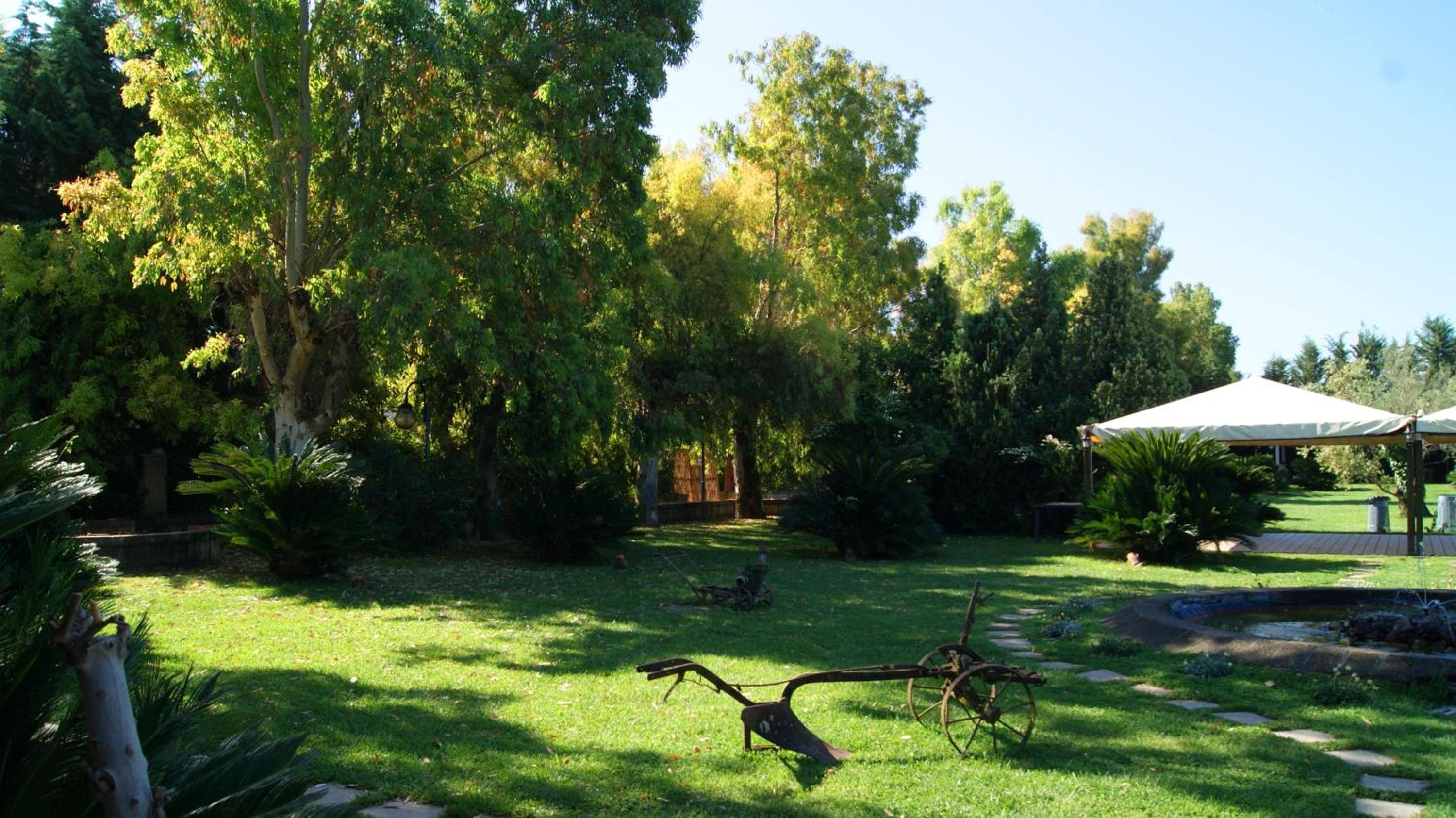 Photo 43