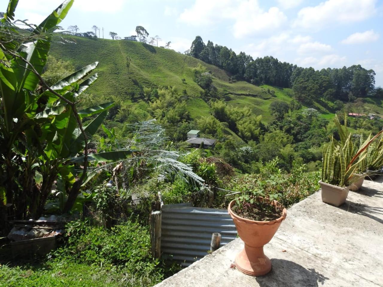 FINCA LA BENDICION
