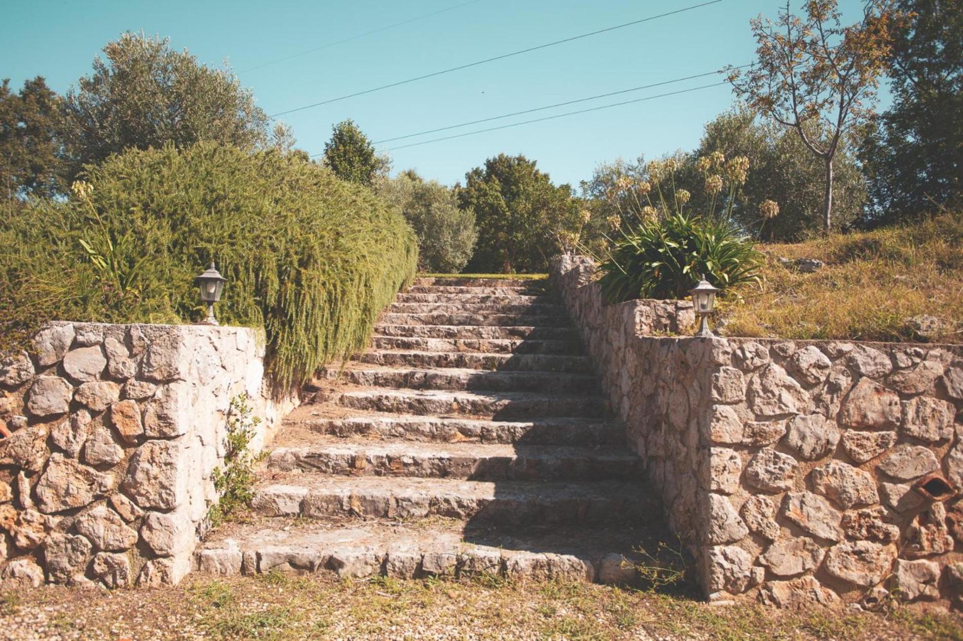 Photo 48