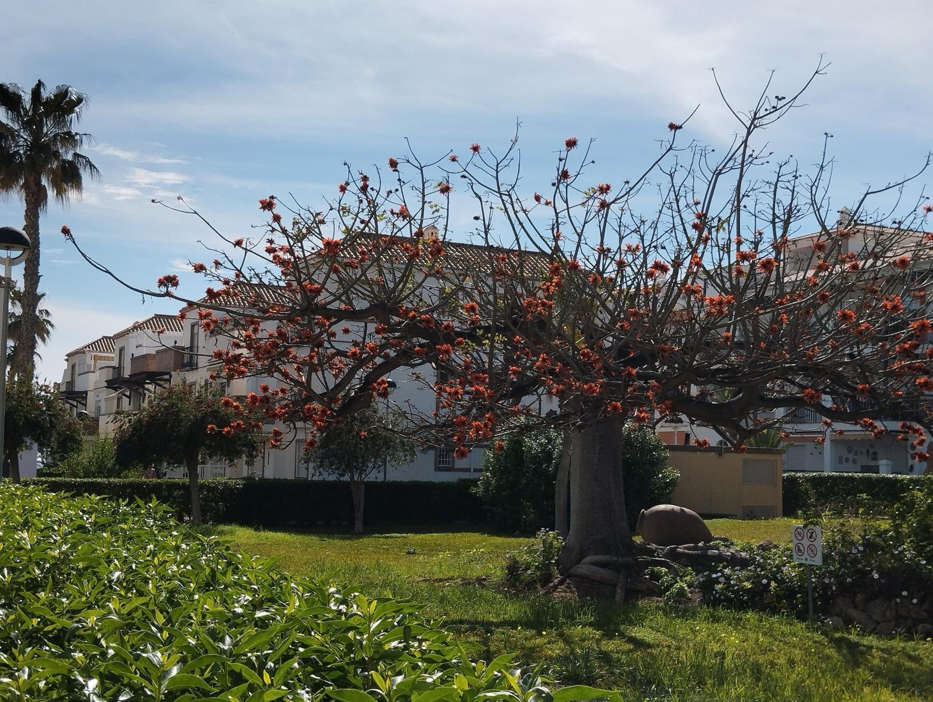 Apartamento Amanecer Laguna Beach Torrox costa