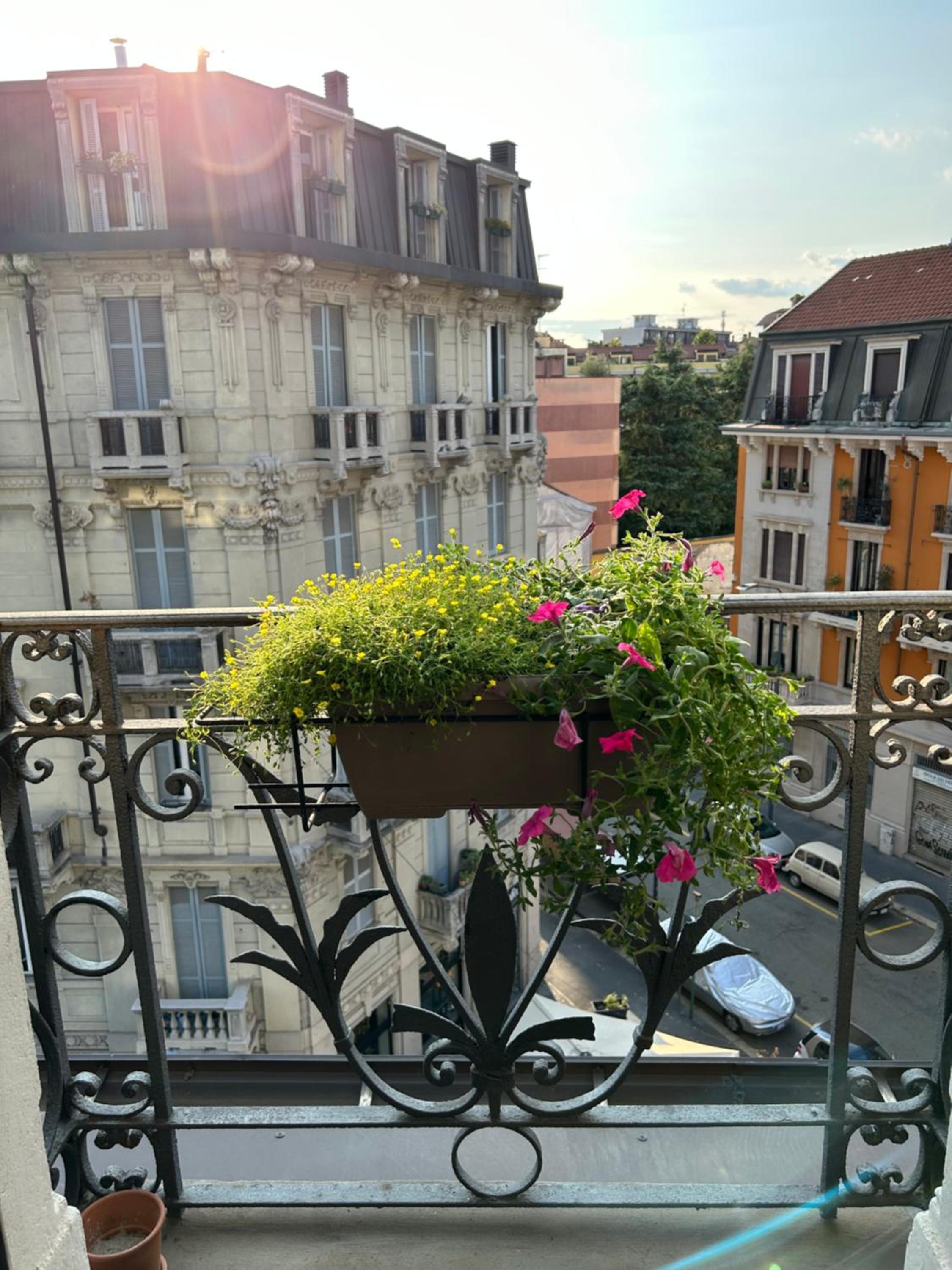 Easy Isola, for an easy stay