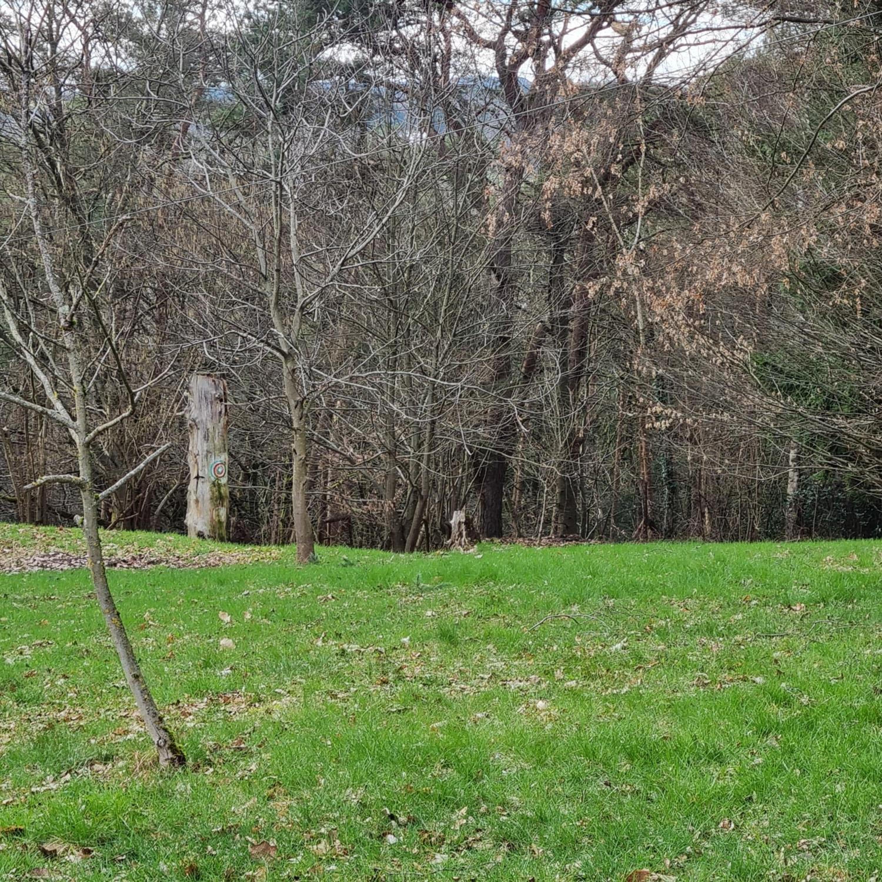 Ferienhaus Hochwald
