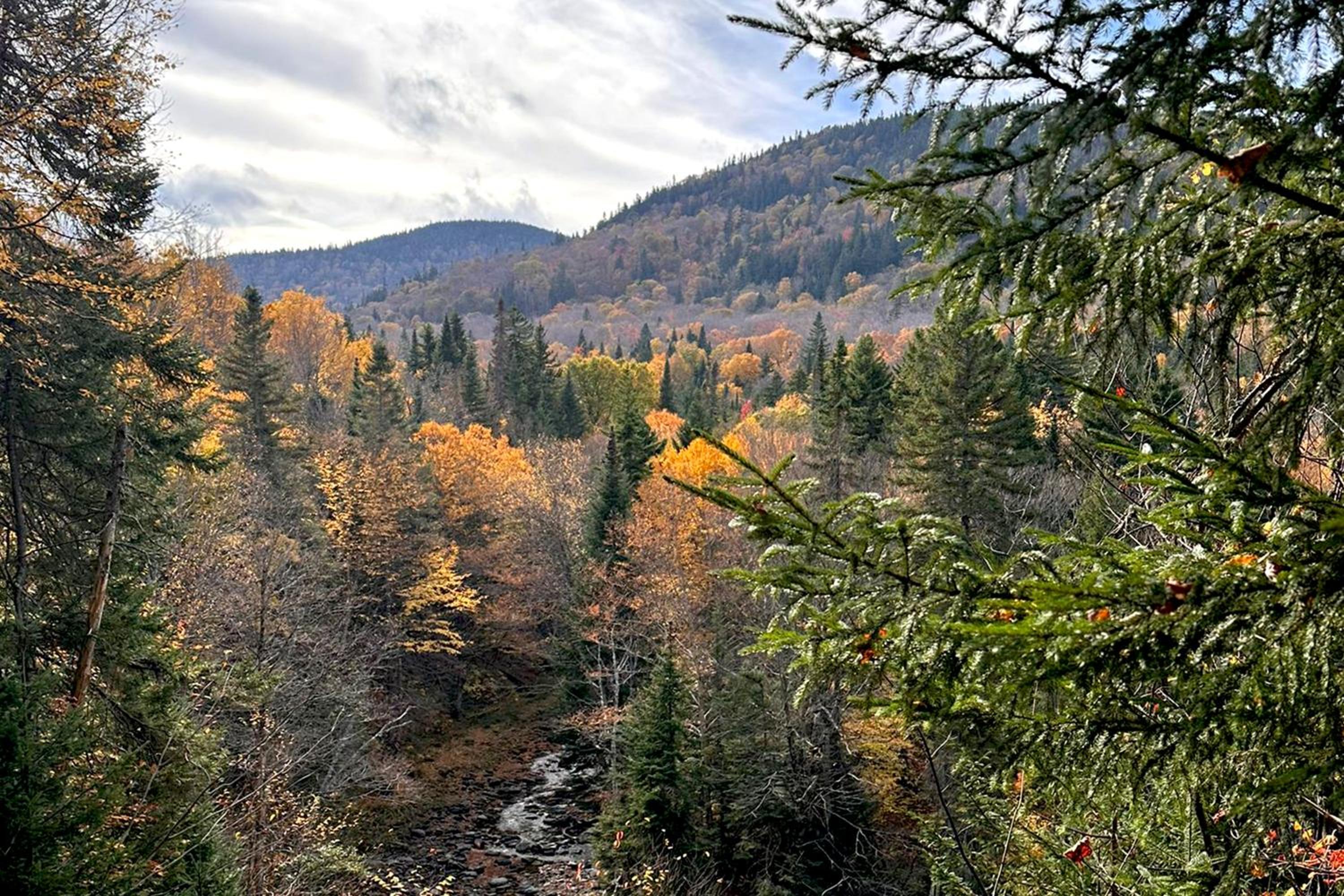 Villa au toit rouge - Massif du Sud