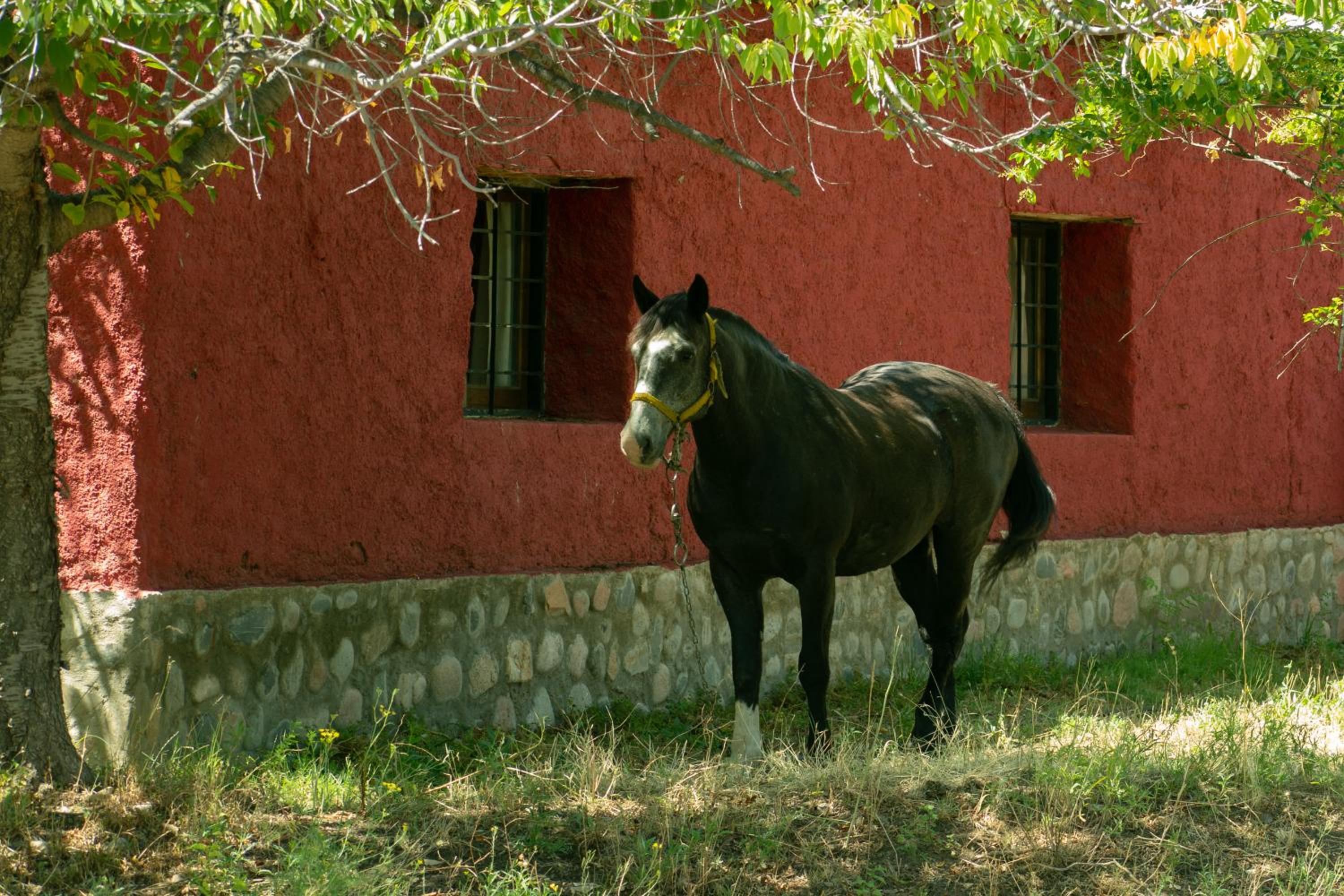 La Martina.