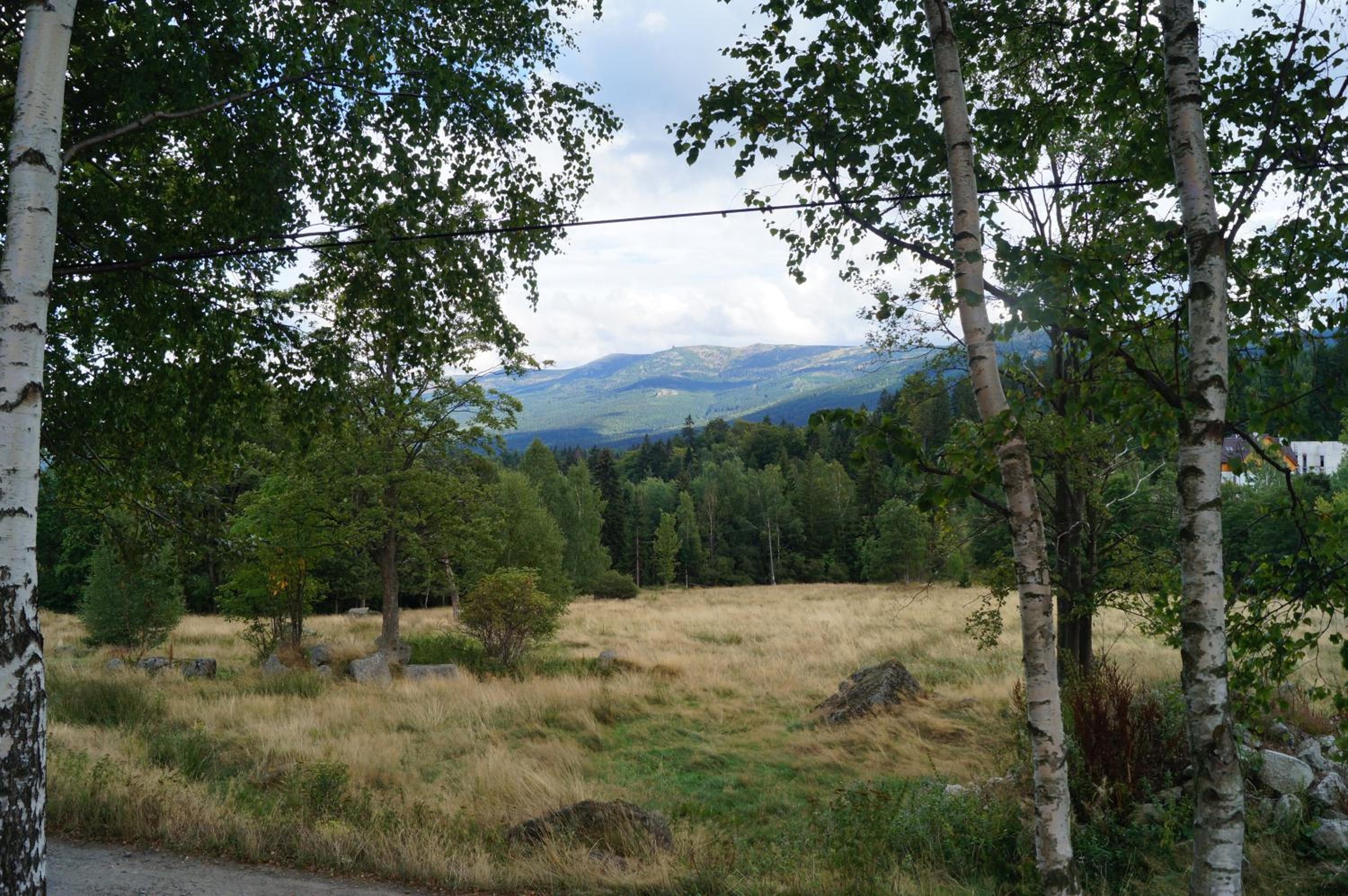 Photo 45