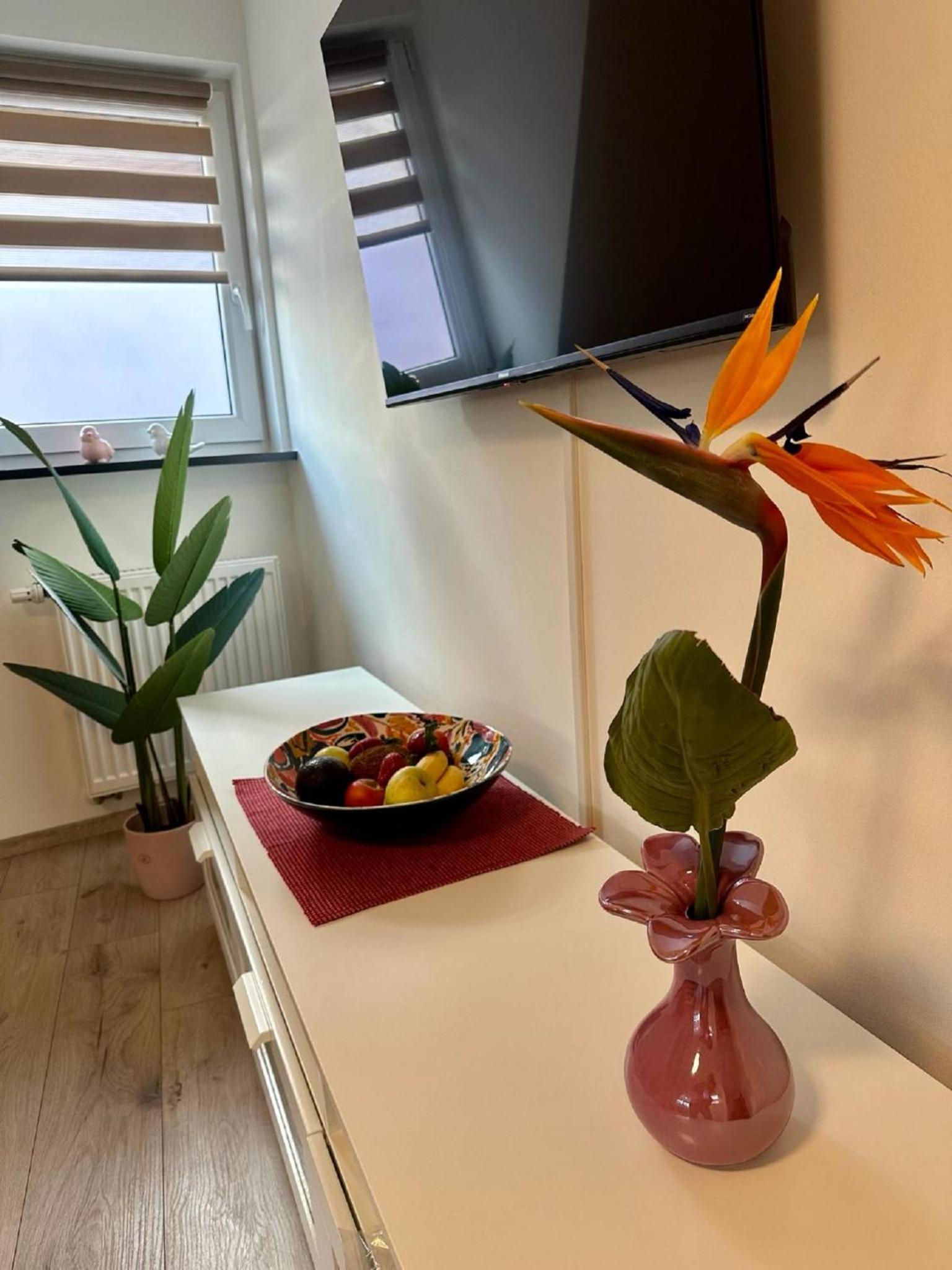 Ferienwohnungen GoJa
