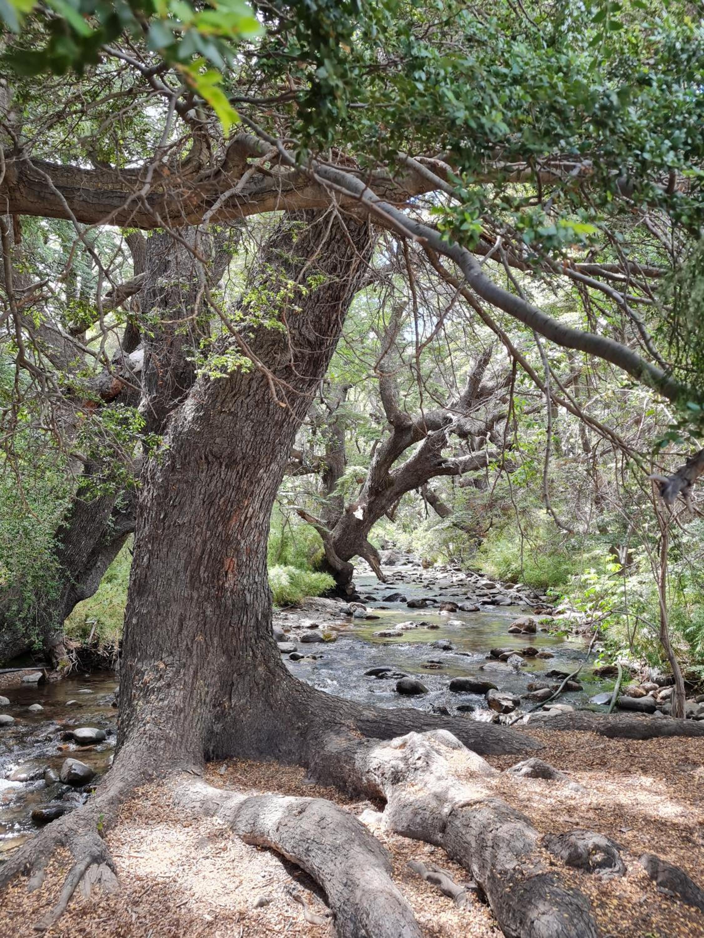 El Diucón Eco Lodge