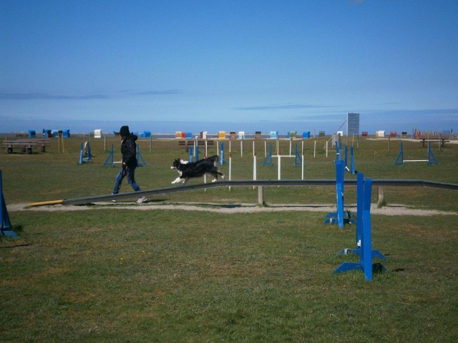Strandnahes-Ferienhaus-Nessmersiel