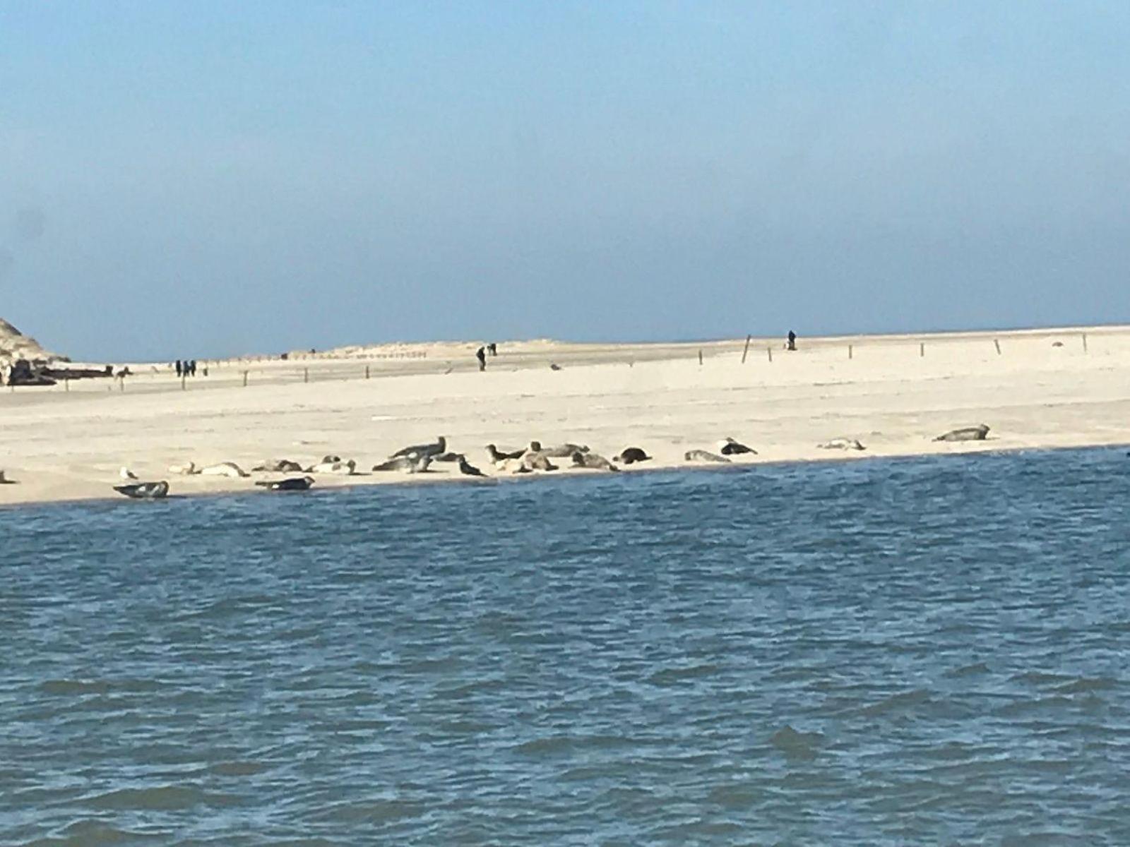 Strandnahes-Ferienhaus-Nessmersiel