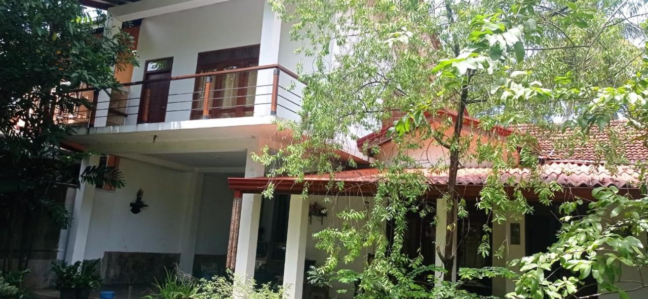 Clement's Homestay view 2