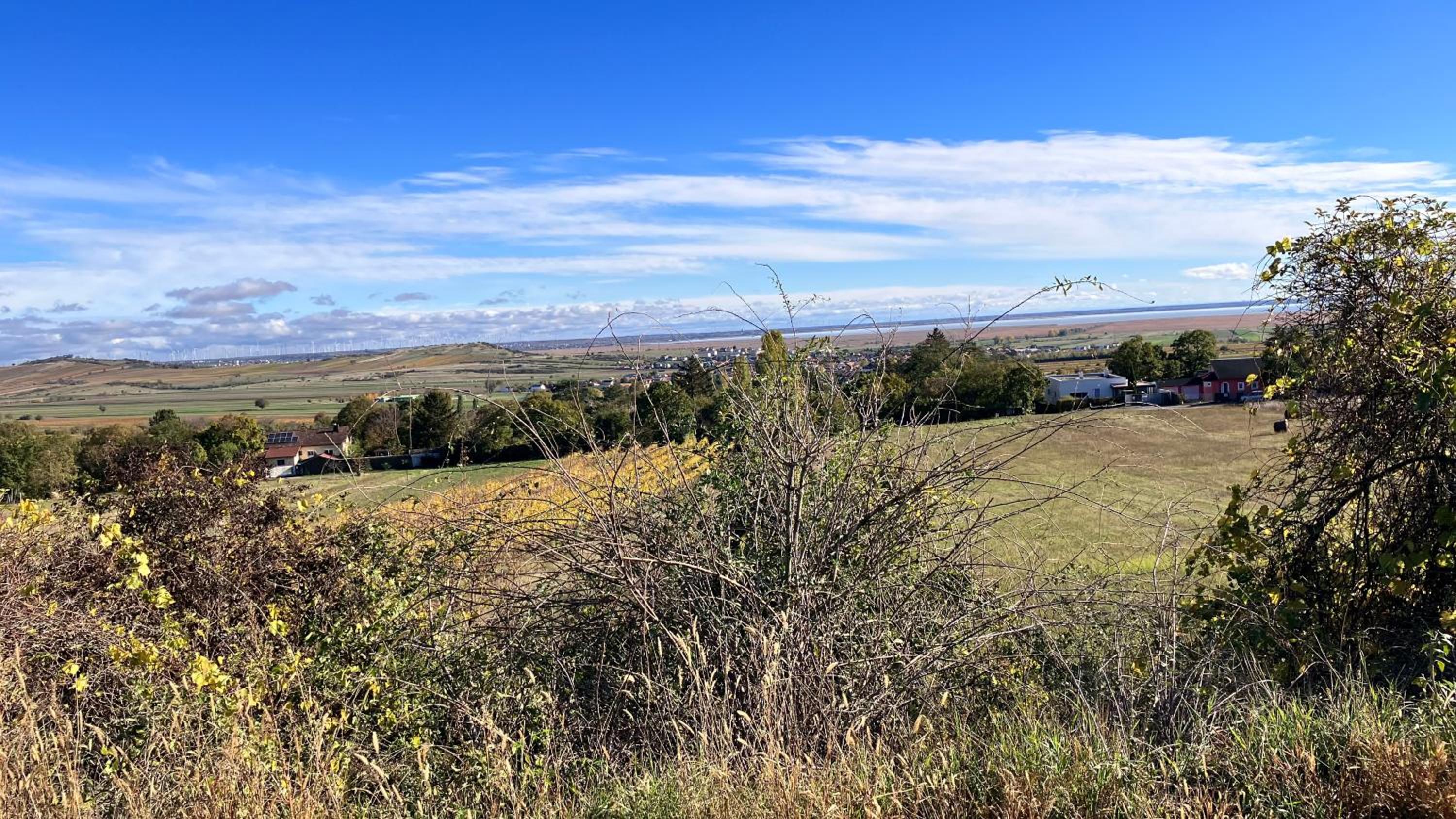 Ferienhaus Seeblick