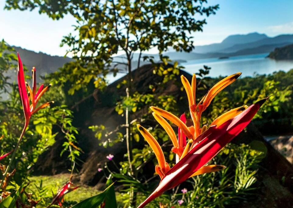 Casa Gaia Paraty