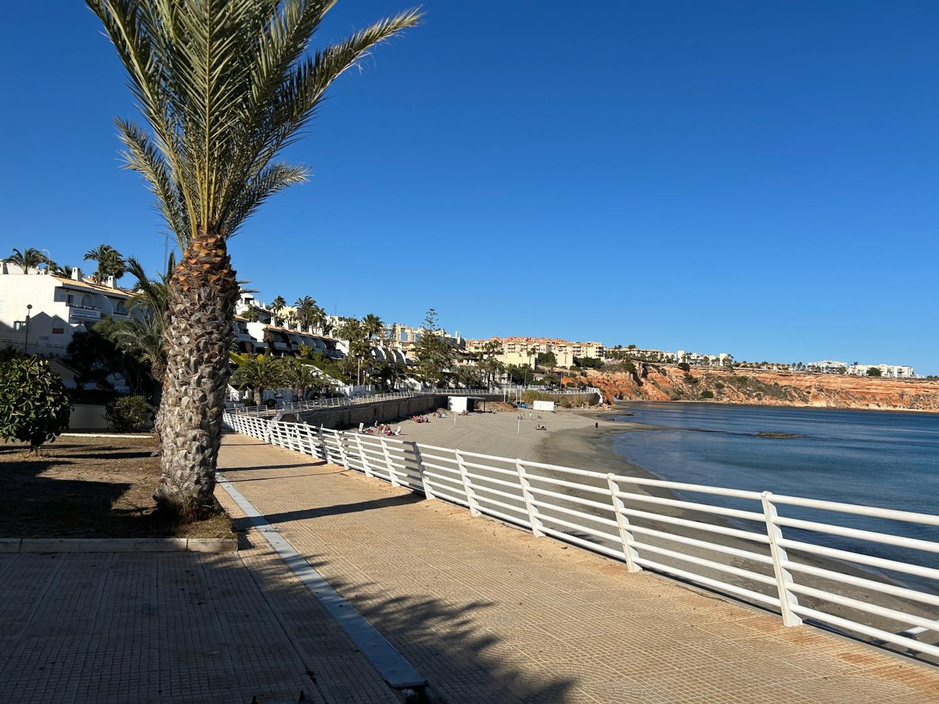 Sunny Paradise/El Paraiso Soleado