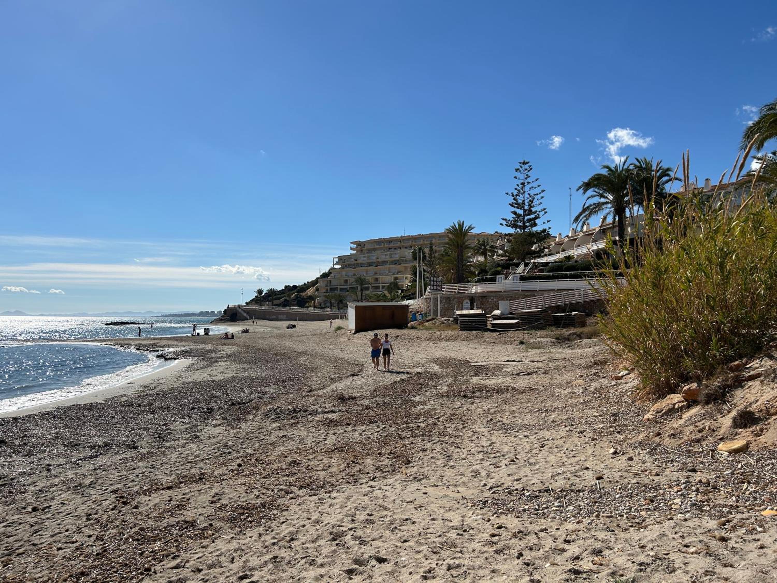 Sunny Paradise/El Paraiso Soleado