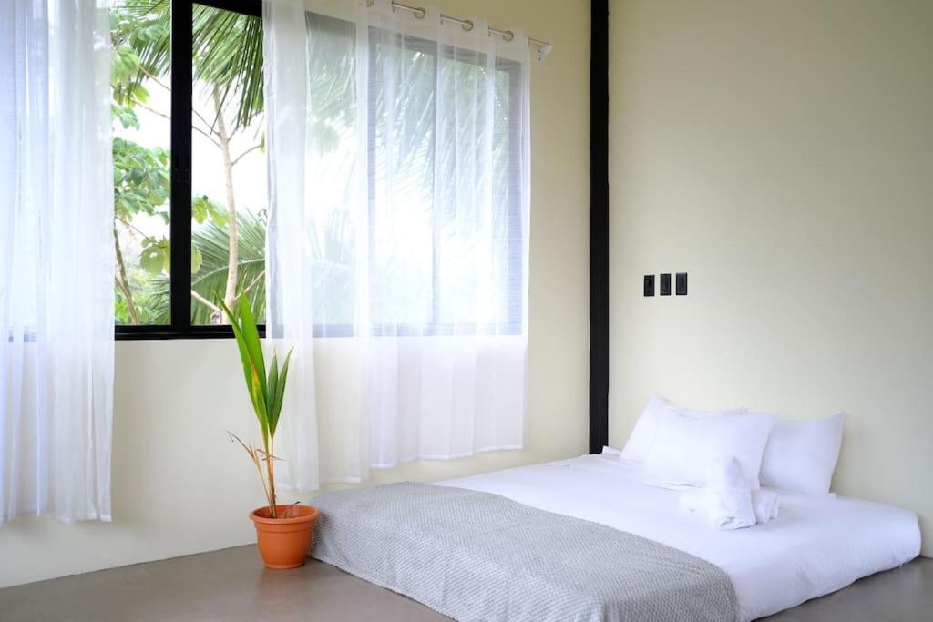 360 Ocean & Mountain View Home Playa Hermosa