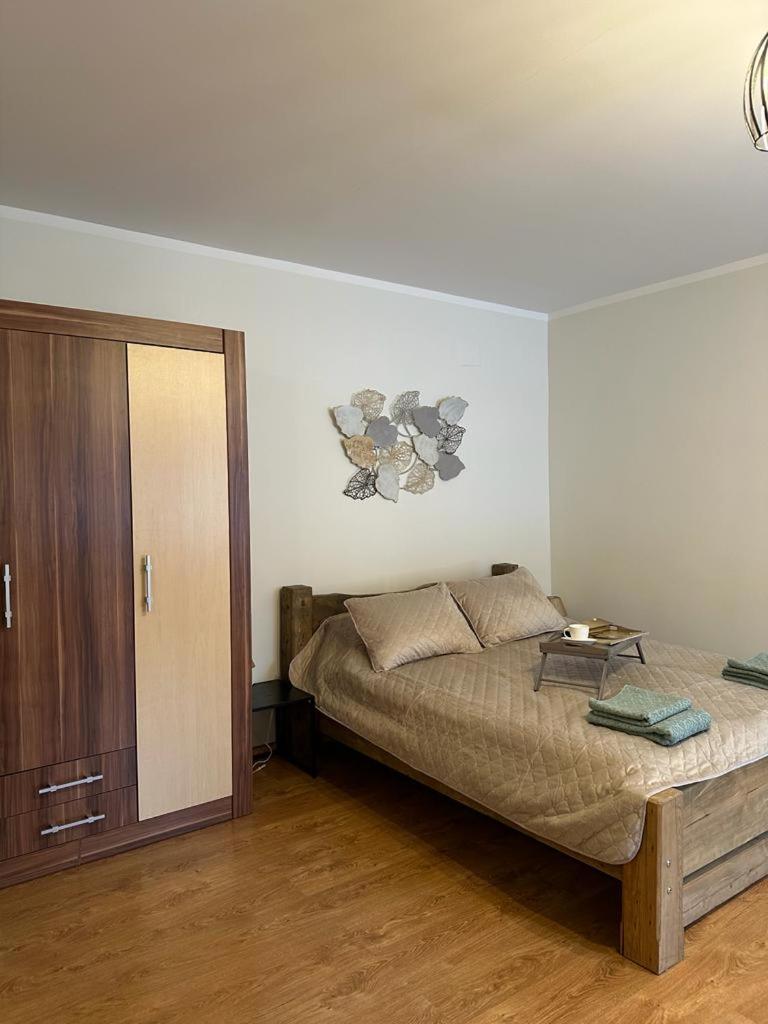 DZIRNAVU IELAS APARTMENT view 2